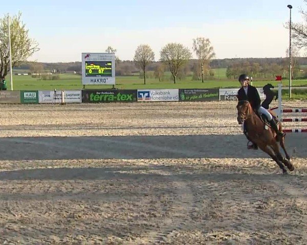 Reitturnier Rot am See- Musdorf 2025