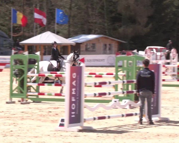 Reitturnier Ranshofen - Braunau am Inn 2025