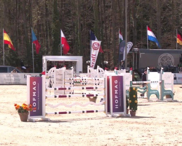 Reitturnier Ranshofen - Braunau am Inn 2025