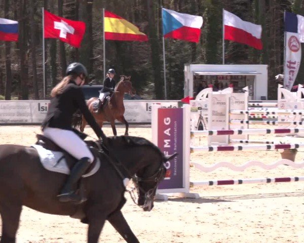 Reitturnier Ranshofen - Braunau am Inn 2025