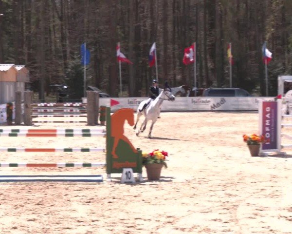Reitturnier Ranshofen - Braunau am Inn 2025