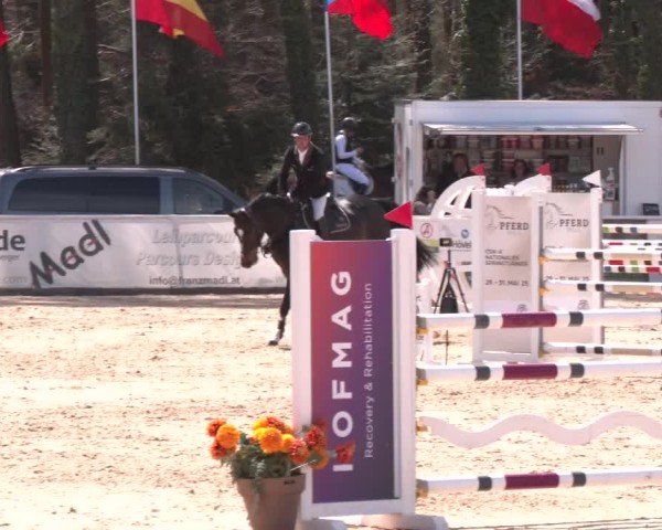 Reitturnier Ranshofen - Braunau am Inn 2025