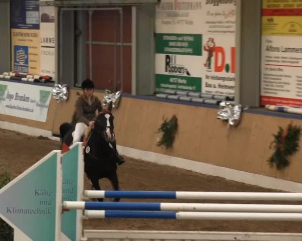 8. Springfestival Werlte