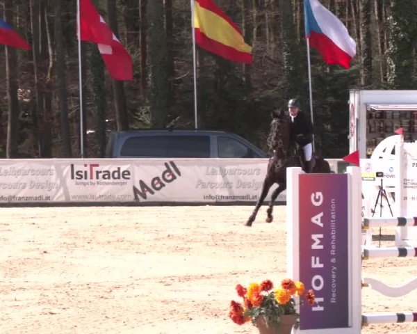 Reitturnier Ranshofen - Braunau am Inn 2025