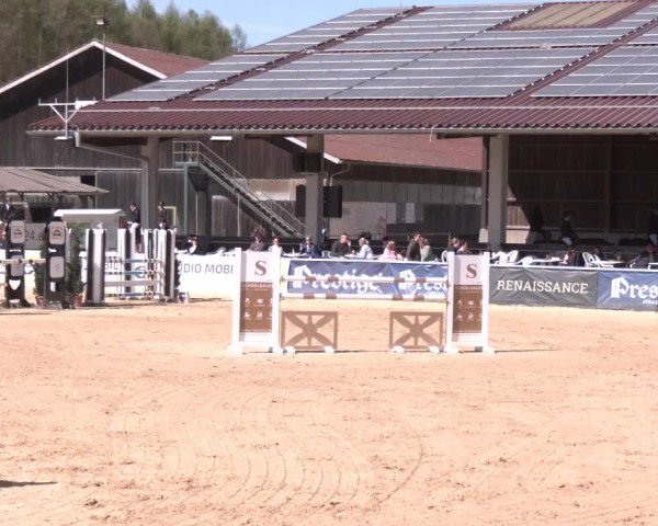 Reitturnier Ranshofen - Braunau am Inn 2025