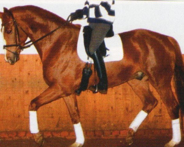 Dressurpferd Lobert (Oldenburger, 2006, von Luxano)