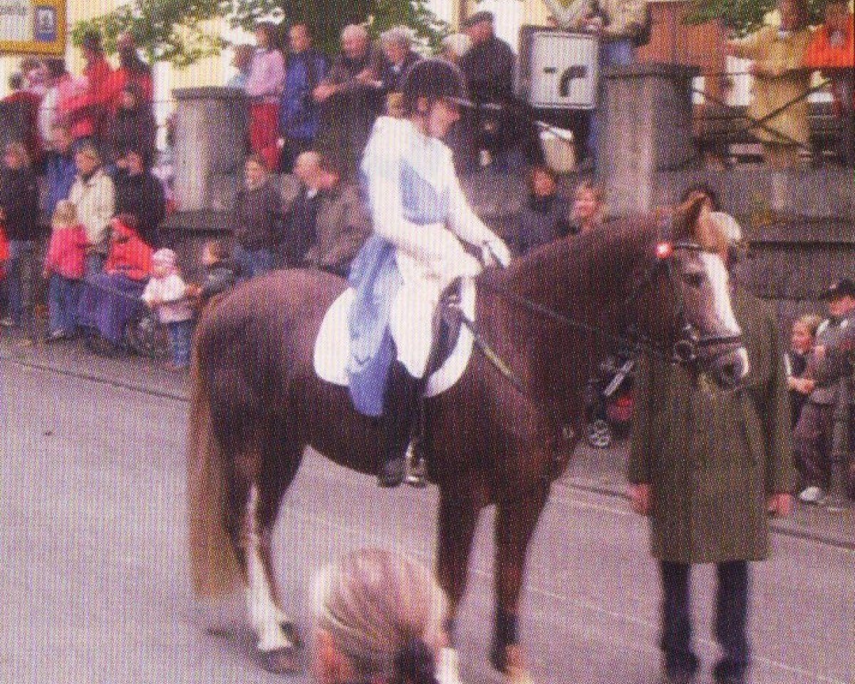 Deckhengst Hariano (Freiberger, 2000, von Havane)