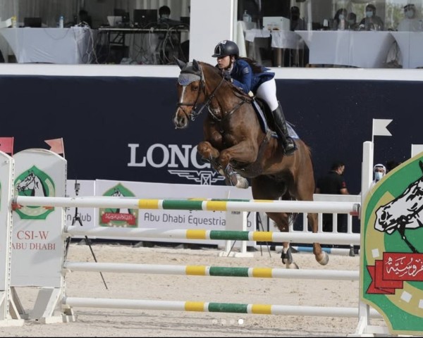 jumper Champion 126 (Oldenburg show jumper, 2006, from Champion For Pleasure)