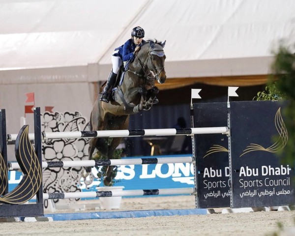 stallion DXB Legend (Selle Français, 2013, from Diamant de Semilly)