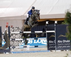 stallion Dxb Legend (Selle Français, 2013, from Diamant de Semilly)