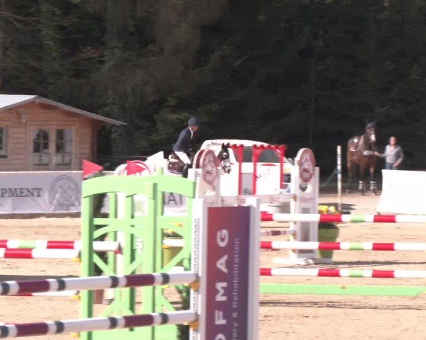 Reitturnier Ranshofen - Braunau am Inn 2025