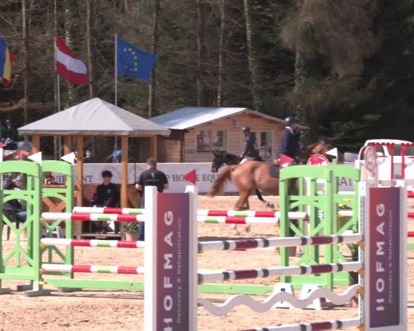 Reitturnier Ranshofen - Braunau am Inn 2025