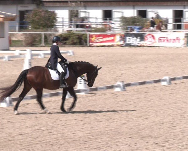 Reitturnier Margarethen am Moos 2025