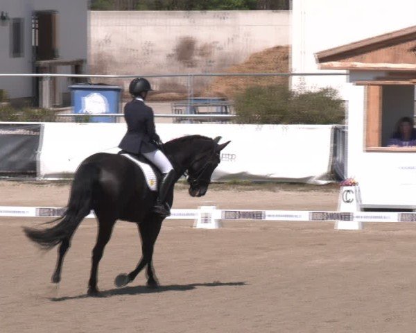 Reitturnier Margarethen am Moos 2025