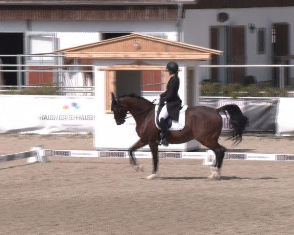 Reitturnier Margarethen am Moos 2025