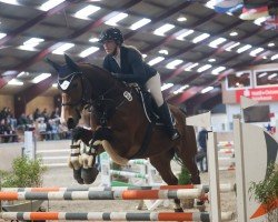 jumper Chapeau 17 (Mecklenburg, 2009, from Chap 47)
