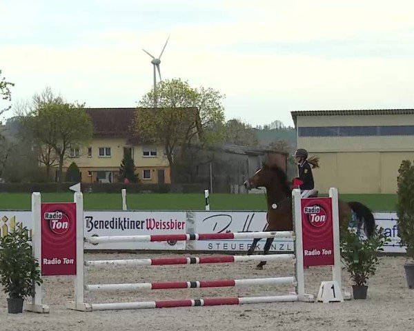 Reitturnier Rot am See- Musdorf 2025