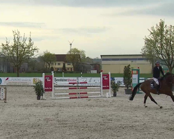 Reitturnier Rot am See- Musdorf 2025