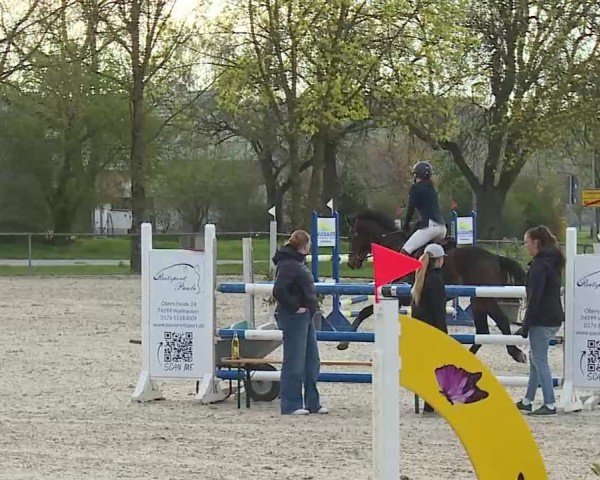 Reitturnier Rot am See- Musdorf 2025