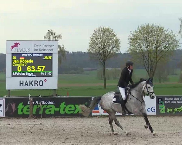 Reitturnier Rot am See- Musdorf 2025