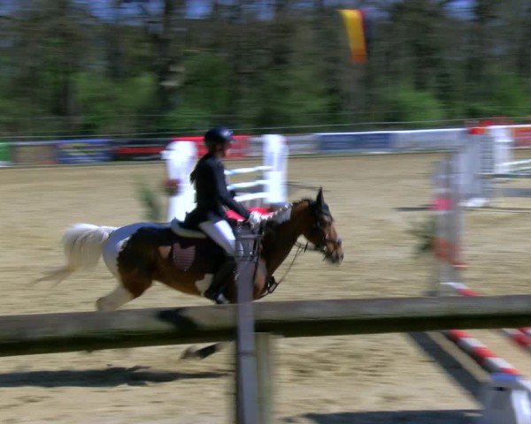 Reitturnier Rhede 2025