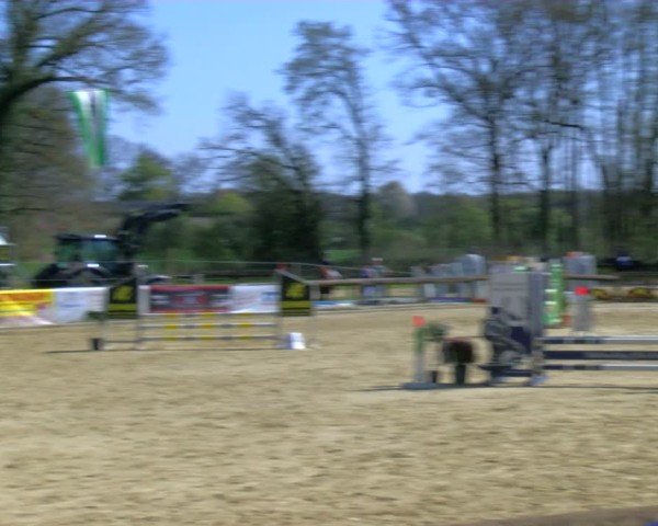 Reitturnier Rhede 2025