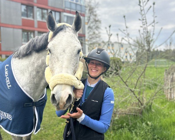jumper Classic Rock Src (Swedish Warmblood, 2020)