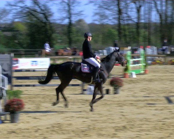 Reitturnier Rhede 2025