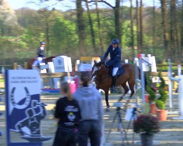 Reitturnier Rhede 2025