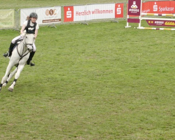 Reitturnier Meißenheim 2025