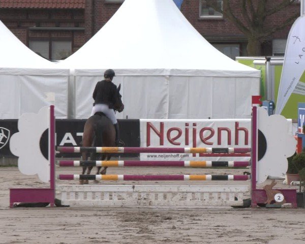 Reitturnier Werne-Lenklar 2025