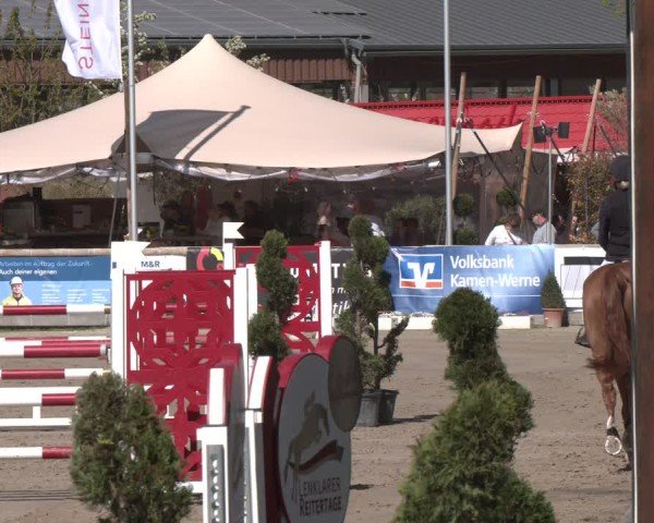Lenklarer Reitertage Werne 2025