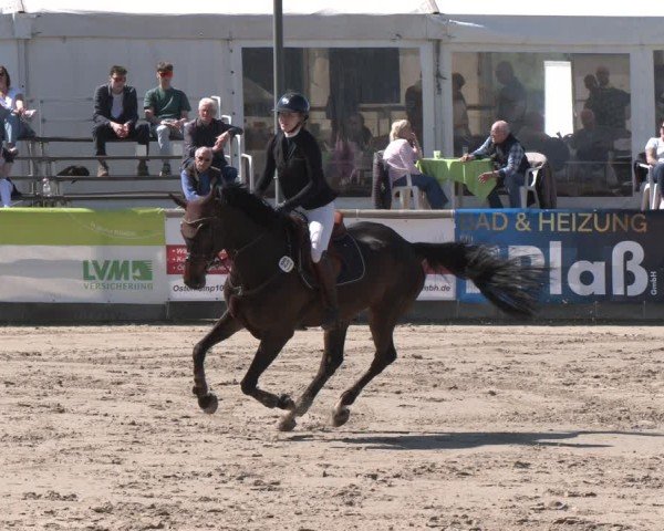 Reitturnier Werne-Lenklar 2025