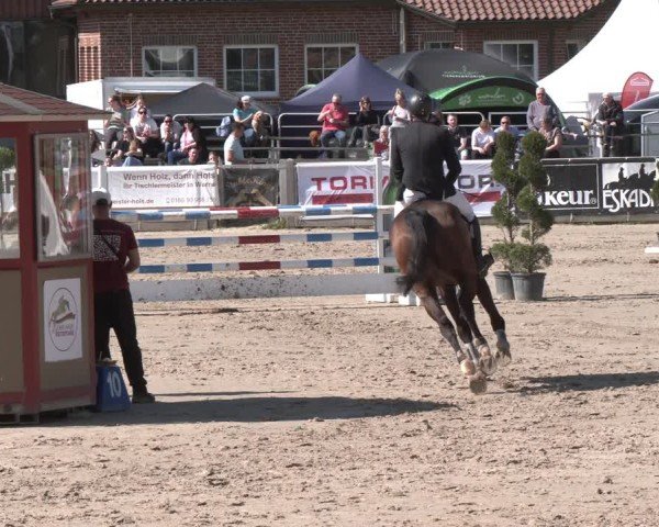 Reitturnier Werne-Lenklar 2025