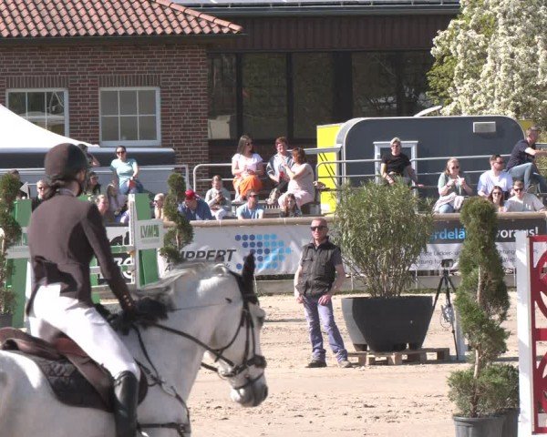 Lenklarer Reitertage Werne 2025