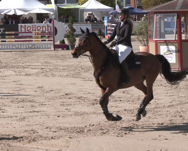 Reitturnier Werne-Lenklar 2025