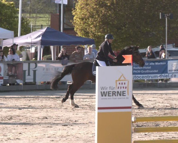 Reitturnier Werne-Lenklar 2025