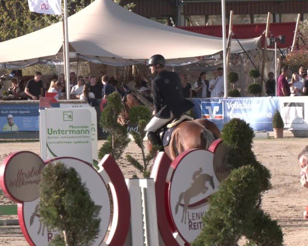 Lenklarer Reitertage Werne 2025