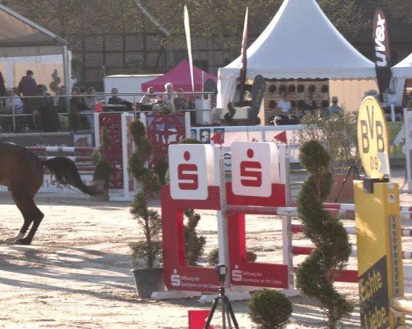 Lenklarer Reitertage Werne 2025