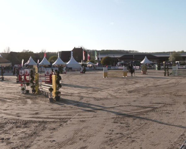 Lenklarer Reitertage Werne 2025