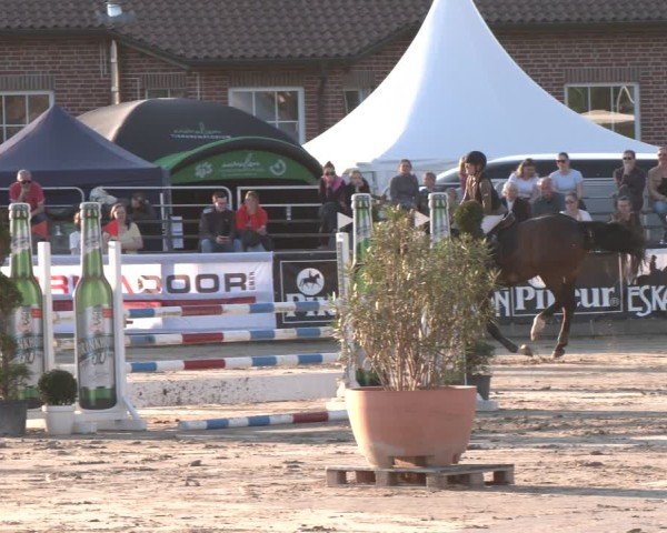 Reitturnier Werne-Lenklar 2025