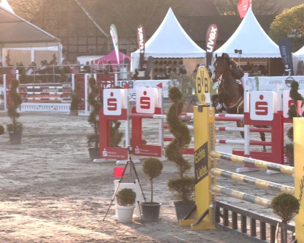 Reitturnier Werne-Lenklar 2025