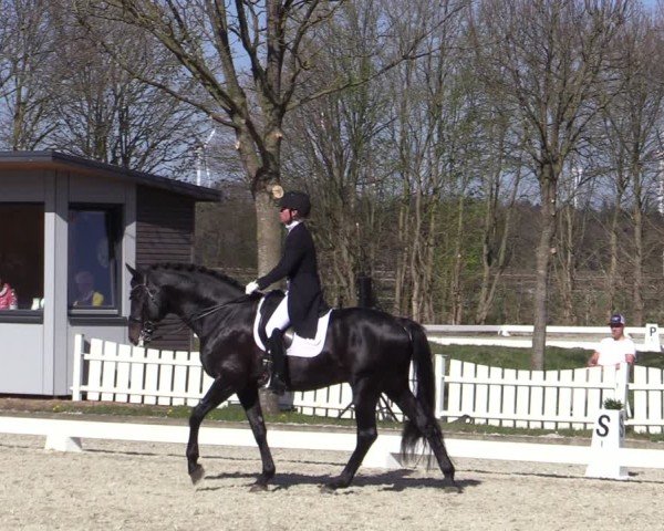 Reitturnier Elmlohe 2025