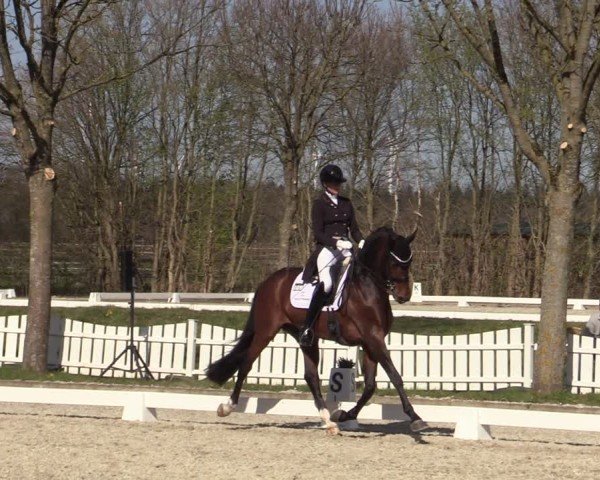 Reitturnier Elmlohe 2025