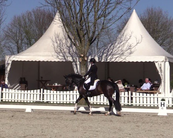 Reitturnier Elmlohe 2025