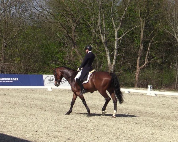 Reitturnier Elmlohe 2025