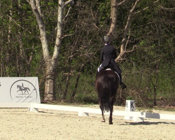 Reitturnier Elmlohe 2025