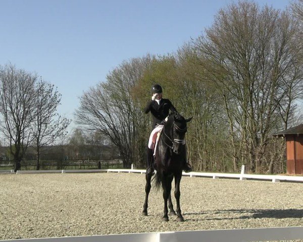 Reitturnier Elmlohe 2025