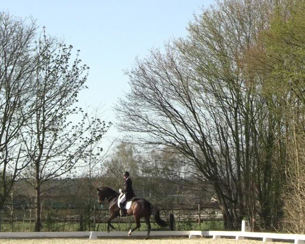 Reitturnier Elmlohe 2025