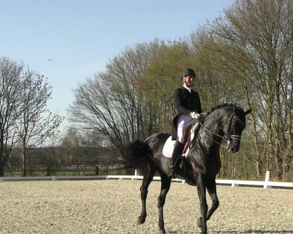 Reitturnier Elmlohe 2025
